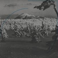 Produktbild: Acid Mothers Temple & The Melting Paraiso U. F. O.: In Searc