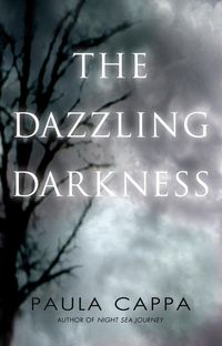 Produktbild: The Dazzling Darkness