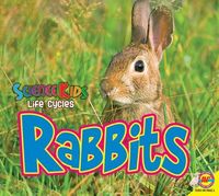 Produktbild: Rabbits