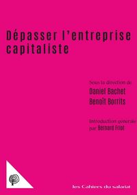 Produktbild: Depasser l'Entreprise Capitaliste : Propriete, Comptabilite, Travail