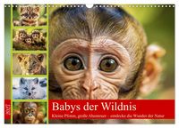 Produktbild: Babys der Wildnis (Wandkalender 2027 DIN A3 quer), CALVENDO Monatskalender