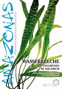 Bild vom Artikel Wasserkelche vom Autor Maike Wilstermann-Hildebrand