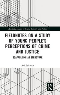 Produktbild: Fieldnotes on a Study of Young People's Perceptions of Crime and Justice