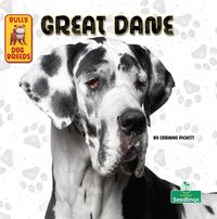 Produktbild: Great Dane