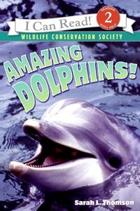 Produktbild: Amazing Dolphins!