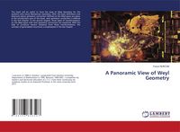 Produktbild: A Panoramic View of Weyl Geometry