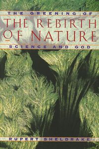 Bild vom Artikel The Rebirth of Nature: The Greening of Science and God vom Autor Rupert Sheldrake