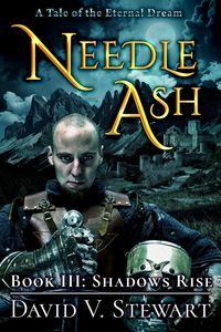 Produktbild: Needle Ash Book 3: Shadows Rise