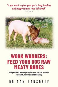 Produktbild: Work Wonders
