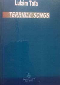 Produktbild: Terrible Songs