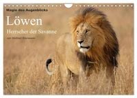 Produktbild: Magie des Augenblicks - L&ouml;wen - Herrscher der Savanne (Wandkalender 2027 DIN A4 quer), CALVENDO Monatskalender