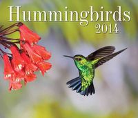 Produktbild: Hummingbirds