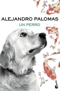 Produktbild: Un perro