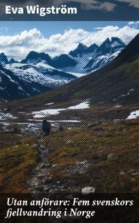 Produktbild: Utan anf&ouml;rare: Fem svenskors fjellvandring i Norge