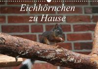 Produktbild: Eichh&ouml;rnchen zu Hause (Wandkalender 2022 DIN A3 quer)