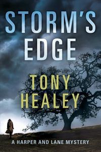 Produktbild: Healey, T: Storm's Edge