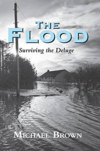 Produktbild: The Flood