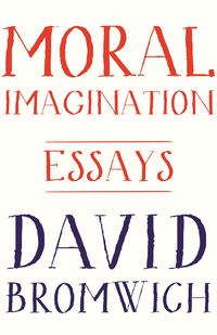 Produktbild: Moral Imagination