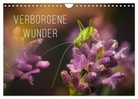 Produktbild: Verborgene Wunder (Wandkalender 2026 DIN A4 quer), CALVENDO Monatskalender