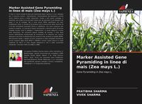 Produktbild: Marker Assisted Gene Pyramiding in linee di mais (Zea mays L.)
