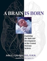 Produktbild: A Brain Is Born