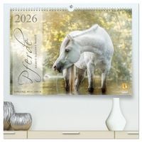 Produktbild: Pferde - Anmut, Eleganz, Magie (hochwertiger Premium Wandkalender 2026 DIN A2 quer), Kunstdruck in Hochglanz