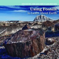 Produktbild: Investigating Fossils