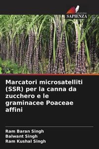 Produktbild: Marcatori microsatelliti (SSR) per la canna da zucchero e le graminacee Poaceae affini