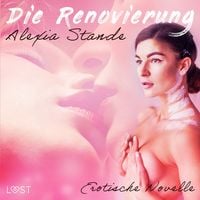 Produktbild: Die Renovierung - Erotische Novelle