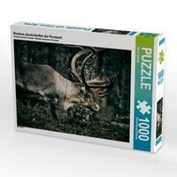 Produktbild: Rentiere durchstreifen die Finnmark (Puzzle)
