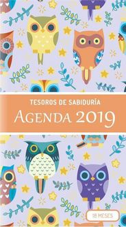 Produktbild: Spa-2019 Planificador - Tesoro