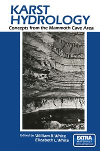Produktbild: Karst Hydrology