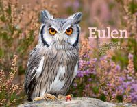 Eulen Kalender 2023 von Ackermann Kunstverlag