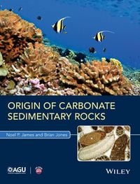 Produktbild: Origin of Carbonate Sedimentary Rocks
