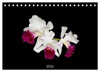Produktbild: Leuchtende Cattleyen (Tischkalender 2026 DIN A5 quer), CALVENDO Monatskalender