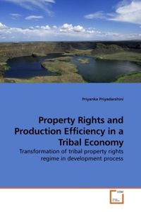 Produktbild: Priyadarshini, P: Property Rights and Production Efficiency