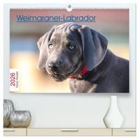 Produktbild: Weimaraner-Labrador (hochwertiger Premium Wandkalender 2026 DIN A2 quer), Kunstdruck in Hochglanz