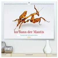 Produktbild: Im Bann der Mantis (hochwertiger Premium Wandkalender 2026 DIN A2 quer), Kunstdruck in Hochglanz