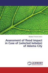 Produktbild: Assessment of flood impact in Case of (selected kebeles) of Adama City