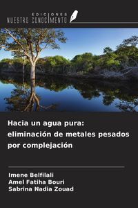 Produktbild: Hacia un agua pura: eliminaci&oacute;n de metales pesados por complejaci&oacute;n