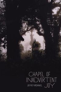 Produktbild: Chapel of Inadvertent Joy