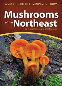 Produktbild: Mushrooms of the Northeast