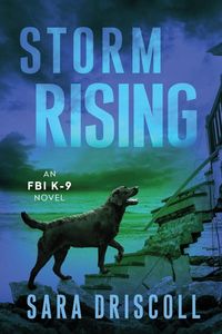 Produktbild: Storm Rising
