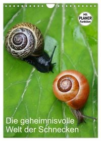 Produktbild: Die geheimnisvolle Welt der Schnecken (Wandkalender 2027 DIN A4 hoch), CALVENDO Monatskalender