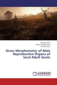 Produktbild: Gross Morphometry of Male Reproductive Organs of local Adult Goats