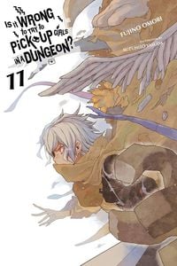 Produktbild: Is It Wrong to Try to Pick Up Girls in a Dungeon?, Vol. 11 (light novel)