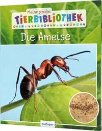 Produktbild: Meine gro&szlig;e Tierbibliothek: Die Ameise