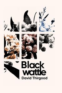 Produktbild: Blackwattle