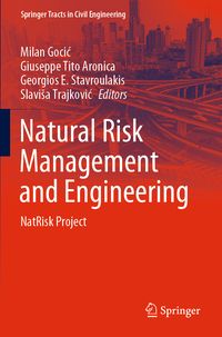 Produktbild: Natural Risk Management and Engineering