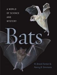 Produktbild: Fenton, M: Bats